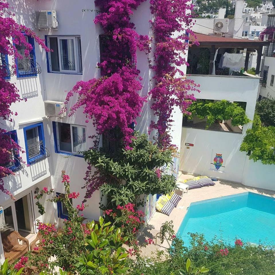 Eskici Hostel Bodrum Zewnętrze zdjęcie